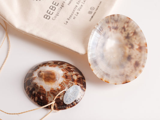 Coquillage-allaitement-camelia-mimosa3